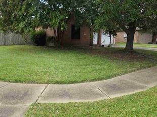 Pat C.'s grass cutting service result