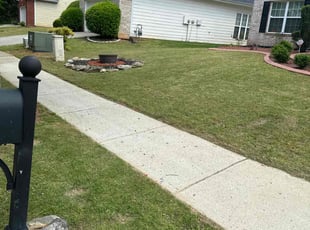 Cecily H.'s turf maintenance service result