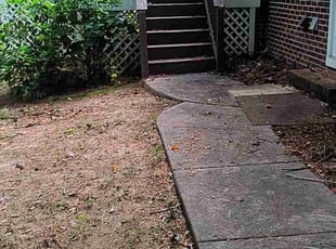 Michele M.'s Bush Trimming service result