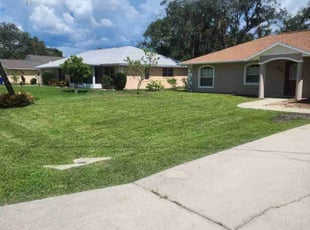 Greg W.'s lawn care service result