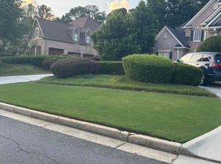 Chelsea s.'s lawn care service result