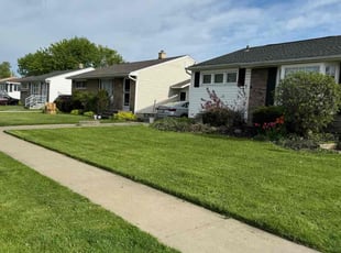 Ronika W.'s Long Grass Cleanup service result