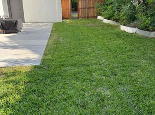 Anthony E.'s lawn care service result