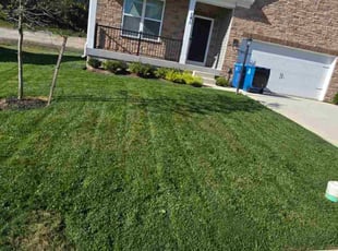 Beverly J.'s Cleanups service result