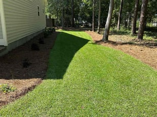 Aaron M.'s grass cutting service result