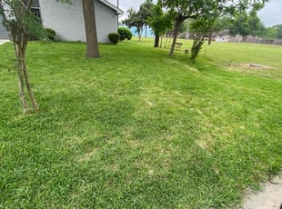 Steven J.'s lawn care service result