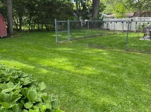 Jordan P.'s grass cutting service result