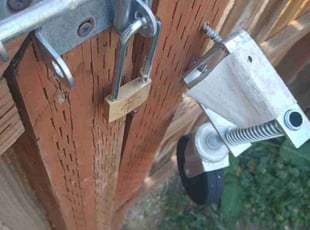 Lisa K.'s lawn care service result