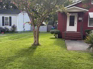 Drew S.'s lawn service service result