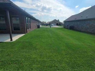 Deseray M.'s turf maintenance service result