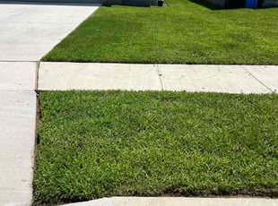 Rhonda P.'s grass cutting service result