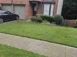 Carolyn C.'s turf care service result