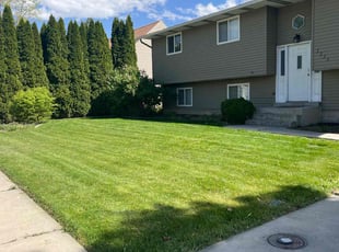 Kasy M.'s turf care service result