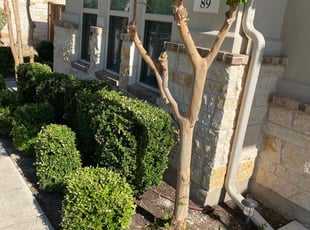 Jim A.'s Bush Trimming service result