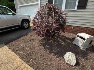 Preston K.'s Flower Bed Weeding service result