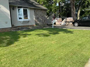 Nabilla G.'s grass cutting service result