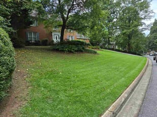 Diana W.'s lawn care service result