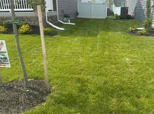 Peter K.'s yard service service result