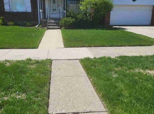 Gail D.'s lawn care service result