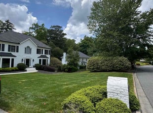 Bill M.'s grass cutting service result