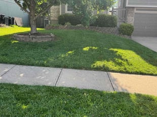Amy L.'s grass maintenance service result