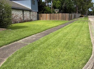 Ann N.'s turf care service result
