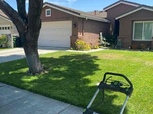 Francois J.'s turf care service result