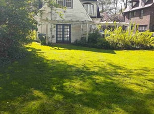 Kc G.'s grass cutting service result