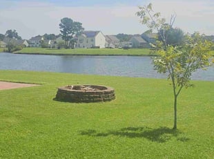 Elizabeth M.'s lawn maintenance service result