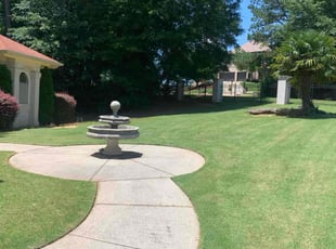 Doreen R.'s lawn care services service result