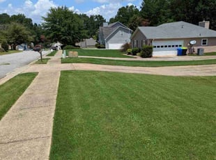 Victoria S.'s grass maintenance service result