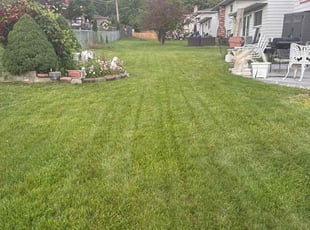 Caitlin W.'s lawn service service result