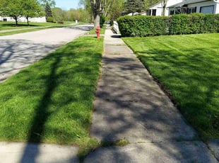 Jacque S.'s Long Grass Cleanup service result