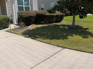 Charles P.'s Bush Trimming service result