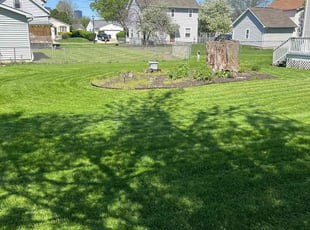 Michael L.'s lawn care services service result