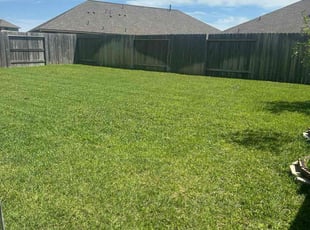 Wayne J.'s lawn care service result
