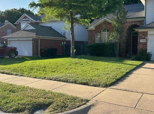 Jb B.'s grass maintenance service result