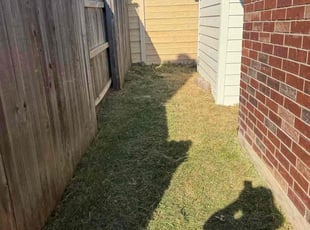 Judy R.'s lawn care services service result