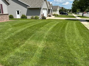 Mary R.'s grass maintenance service result