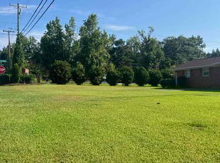 Cody D.'s grass maintenance service result