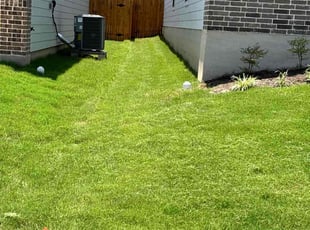 Ivy S.'s turf care service result