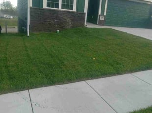 Clark S.'s lawn service service result