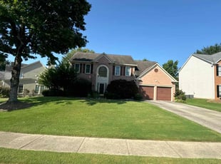 Isabelle L.'s lawn service service result