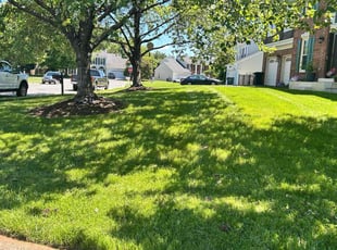 Robert S.'s grass maintenance service result