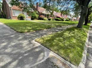 Annelle H.'s lawn maintenance service result