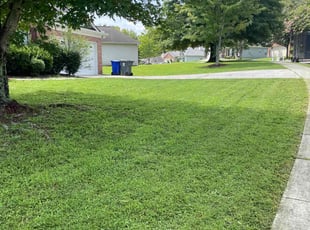Lane L.'s lawn service service result