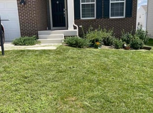 Fred W.'s lawn care service result