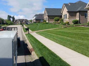 Sheriese W.'s lawn care service result