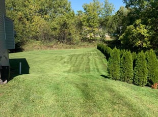 Akeem F.'s lawn care service result