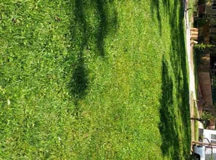 Elaine J.'s turf maintenance service result